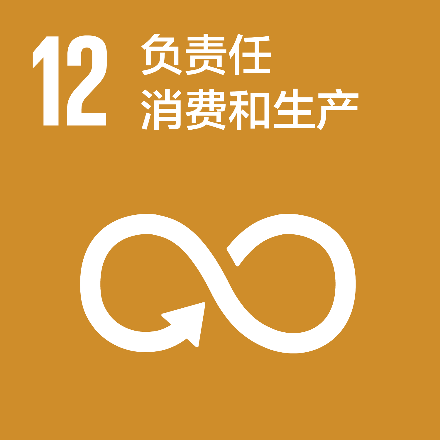 可持续发展目标-12负责仁消费和生产